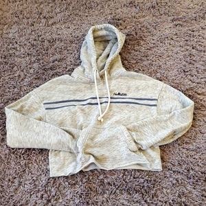 Holister Crop Top Hoodie